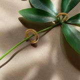 Parlak Luki Kıkırdak Küpesi - Altın Kaplama Gümüş