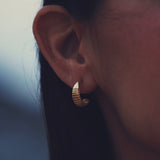 Small Regal Earrings - 14K Gold Vermeil