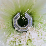 Octavia Ear Cuff - Rhodium Plated 925 Sterling Silver 